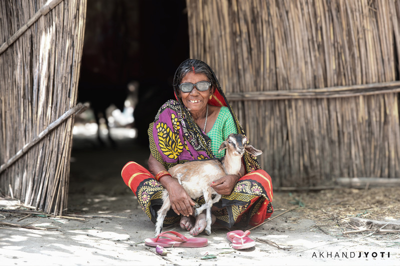 From Greens To Gleam: The Tale Of A Vegetable Seller